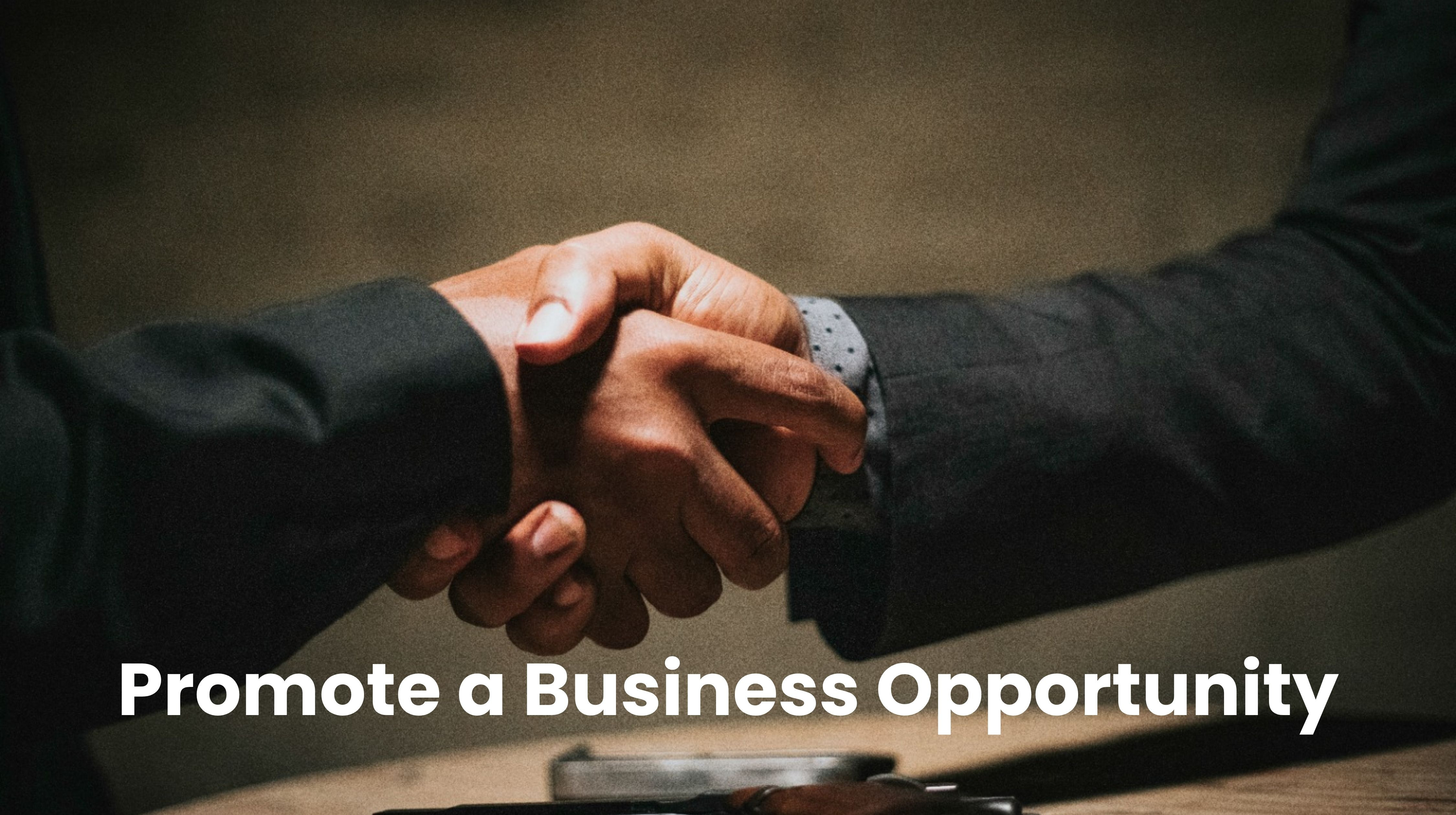 Promote a business opportunity